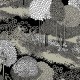 Papel pintado A Collection of Trees Vistas TR70500 