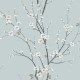 Papel pintado A Collection of Trees Cherry Branches TR70902 