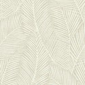Natural Grass Pampas Plan EN41005 Papel Wallquest