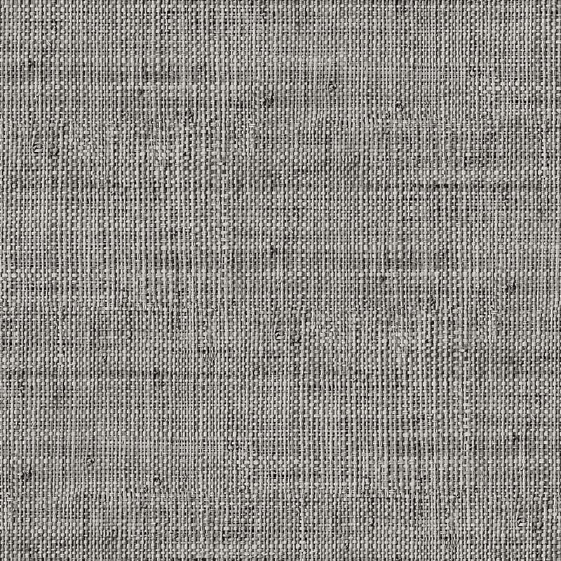 Raffia Wild Bind 27 Papel Wallquest RA40319 