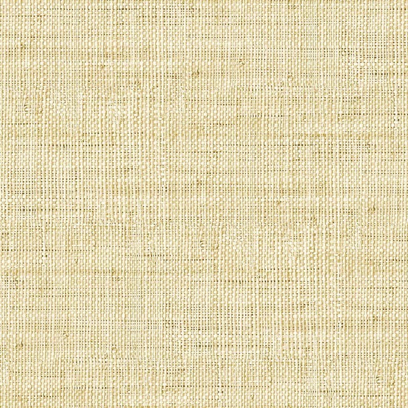 Raffia Wild Bind 27 Papel Wallquest RA40314 
