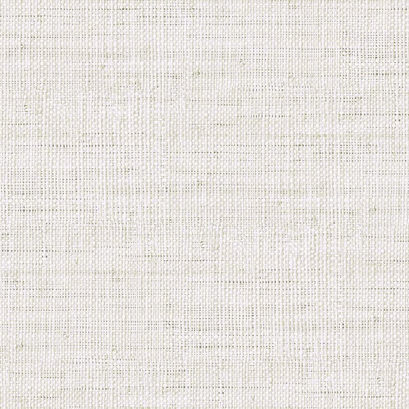 Raffia Wild Bind 27 Papel Wallquest RA40308 
