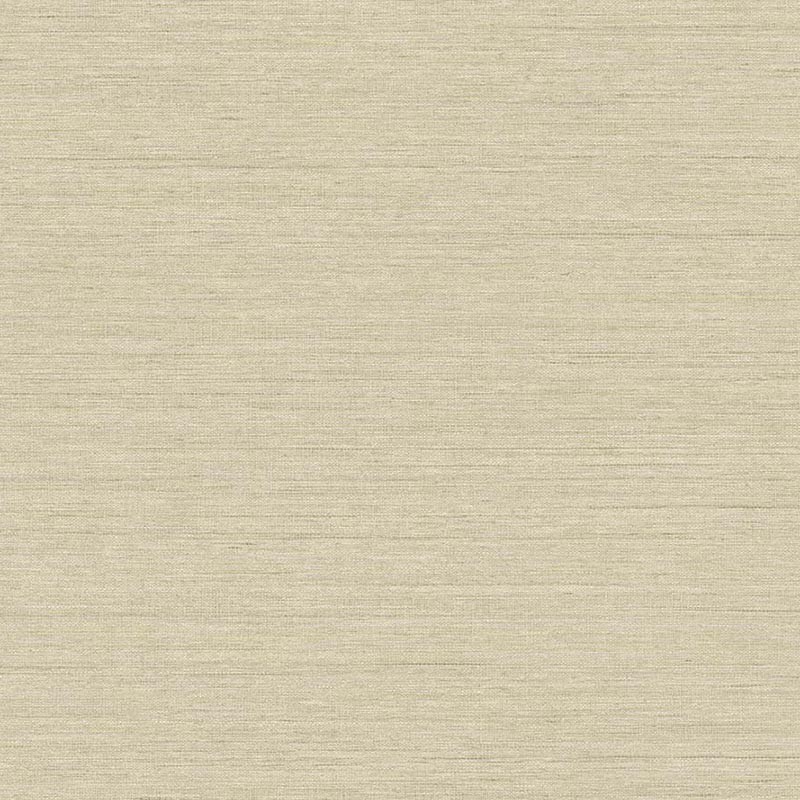 Raffia Threaded Papel Wallquest RA40910 