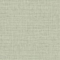 Raffia Harvest Twine RA40133 Papel Wallquest