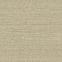 21 The Gentleman Tarlings CL70305 Papel Carl Robinson