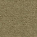 21 The Gentleman Temple CL70406 Papel Carl Robinson