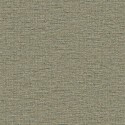 21 The Gentleman Temple CL70407 Papel Carl Robinson