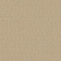 21 The Gentleman Thomas CL70905  Papel Carl Robinson