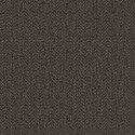21 The Gentleman Thomas CL70900  Papel Carl Robinson
