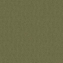 21 The Gentleman Thomas CL70904  Papel Carl Robinson