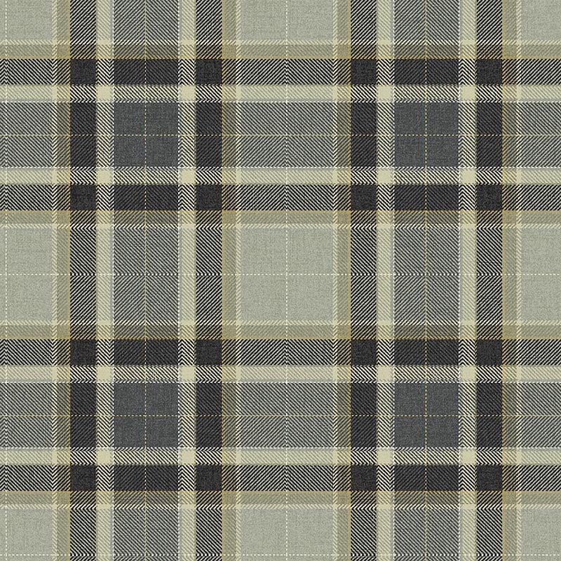 24 The Highlands Papel Carl Robinson Stirling CA10408 