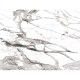 Mural York Wallcoverings Formations Imperial Marble FM1109M