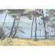 Mural Les Dominotiers Douce France Entre les pins DOM5005