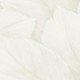 Papel pintado Parati Cozy COZY31 