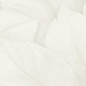 Cozy COZY31 Papel pintado Parati