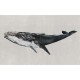 Naturae Papel Pintado Coordonné 9500103