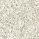 Papel pintado York Classics Aslan 1893-GT4581 