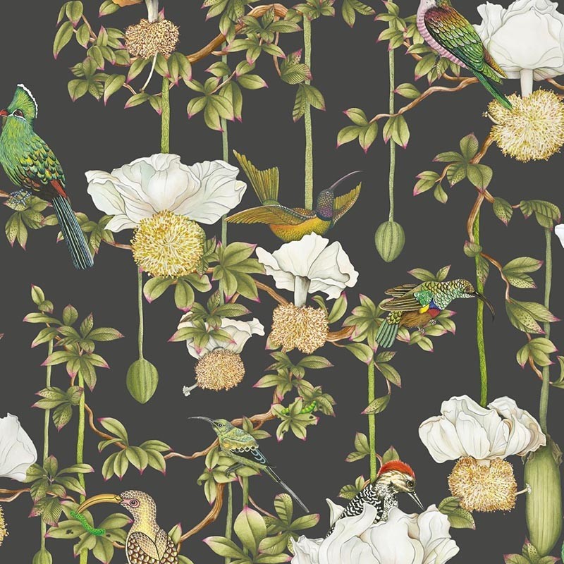 Papel Pintado Cole & Son Ardmore Baobab Baobab Botanica 129/2009