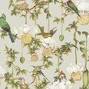Ardmore Baobab 129/2006 Papel pintado Cole & Son