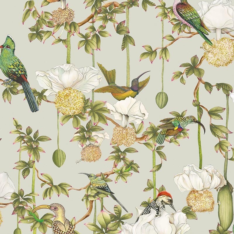 Papel Pintado Cole & Son Ardmore Baobab Baobab Botanica 129/2006