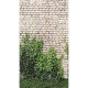 Mural decorativo As Creation The Wall 4 Vibes & Styles 79226-8