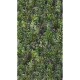 Mural decorativo As Creation The Wall 4 Vibes & Styles 79224-1