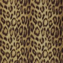 Papeles pintados Jungle Club Panthera 08 Gold