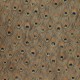 Papel Pintado Covers Wallcovering Jungle Club Parvani 02 Treasure