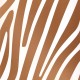 Papel Pintado Covers Wallcovering Jungle Club Damara 11 Copper