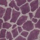 Papel Pintado Covers Wallcovering Jungle Club Zarafa 34 Boudoir