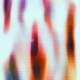 Papel Pintado Casamance Canopée 7315 02 37