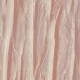 Papel Pintado Casamance Canopée 7309 04 75