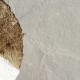 Revestimientos Murales Elitis Epure RM 663 05