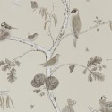 Woodland Walk Chorus 215704 Papel pintado