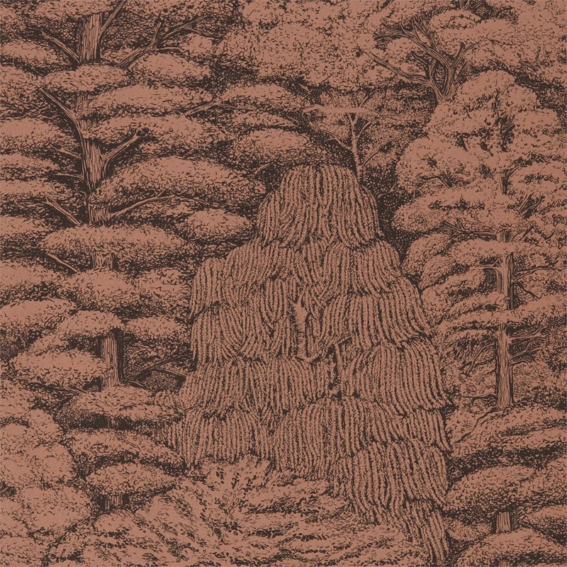 Papel Pintado Sanderson Woodland Walk 215719