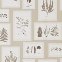 Woodland Walk Fern Gallery 215714 Papel pintado