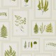 Papel Pintado Sanderson Woodland Walk 215712