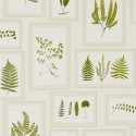 Woodland Walk Fern Gallery 215712 Papel pintado