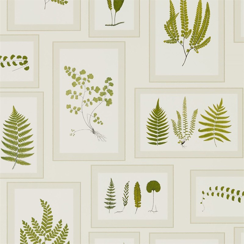 Papel Pintado Sanderson Woodland Walk 215712