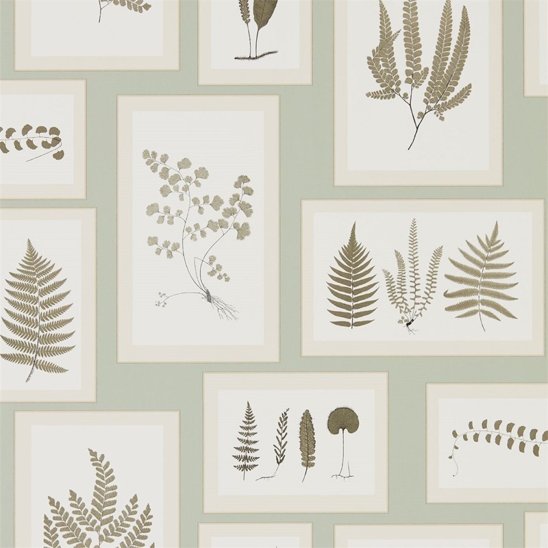 Papel Pintado Sanderson Woodland Walk 215715
