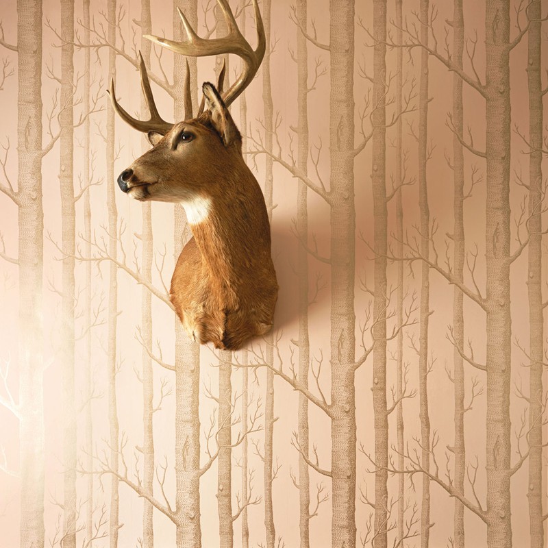 Papel pintado Cole & Son Whimsical 103-5024 A