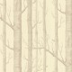 Papel pintado Cole & Son Contemporary Restyled 69-12148