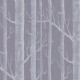 Papel pintado Cole & Son Contemporary Restyled 69-12151