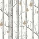 Papel pintado Cole & Son Contemporary Restyled 95-5027
