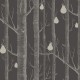 Papel pintado Cole & Son Contemporary Restyled 95-5031