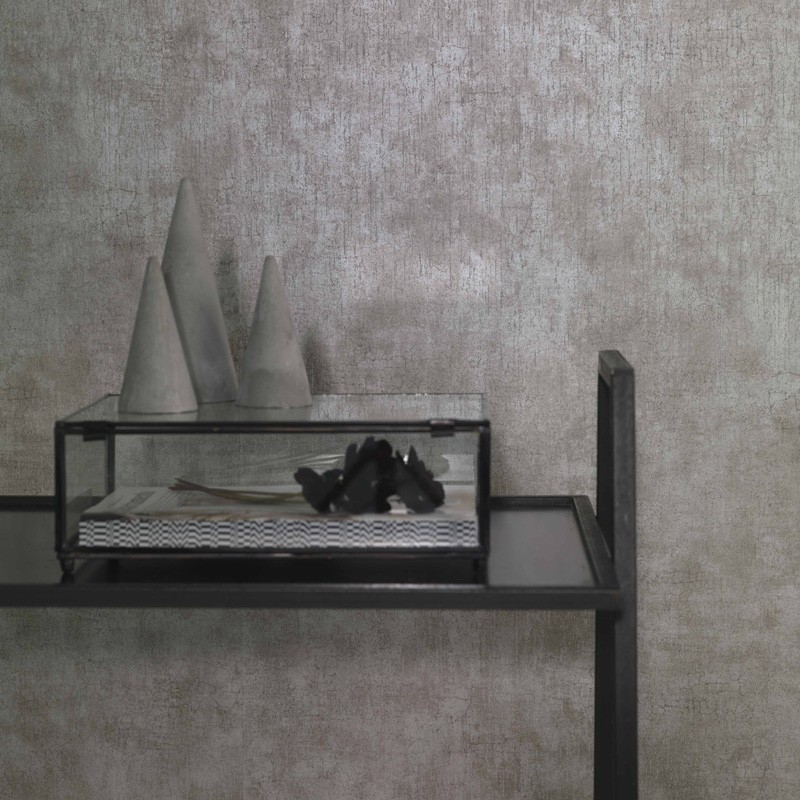 Papel Pintado Carlucci di Chivasso Ghost Walls CA8206-020 A