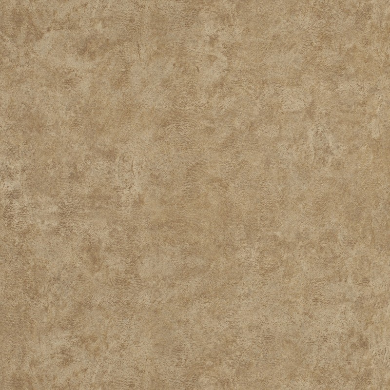 Papel Pintado Carlucci di Chivasso Ghost Walls CA8204-040
