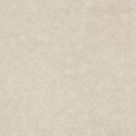 Papel Pintado Ghost Walls CA8211-060