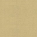 Papel Pintado Ghost Walls CA8205-040