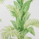 Papel Pintado Coromandel NCW4274-01